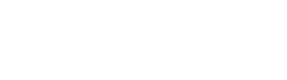 icontechnology-logo-dark